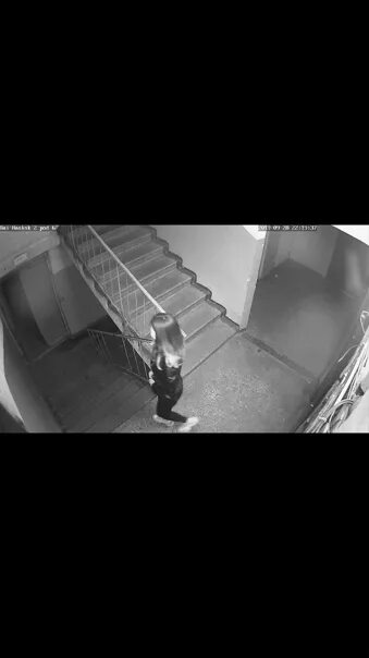 Девушка справила нужду в подъезде. Справила нужду в подъезде. справила нужду в подъезде видеозапись. справила нужду в лифте видеонаблюдение. справила нужду девочка в подъезде.