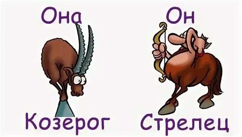 Козерог и козерог