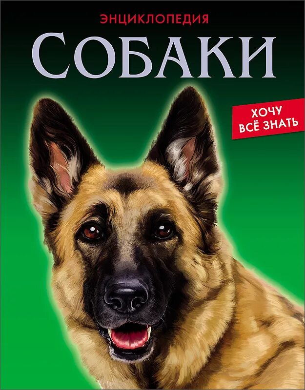 Книги о собаках отзывы. Книги про собак. Собака с книжкой. Энциклопедия о собаках. Книга с собакой на обложке.