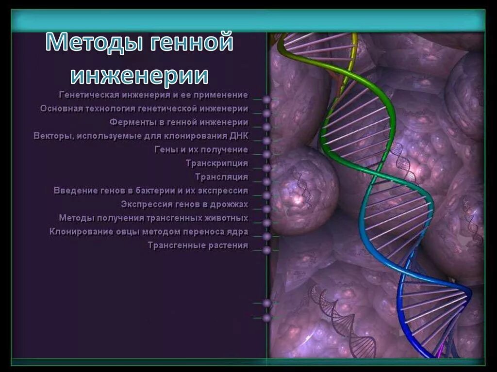 Герберт бойер генная инженерия. Основные принципы генной инженерии. Методы селекции генная инженерия. Методы генома. Методы генной инженерии в биологии.