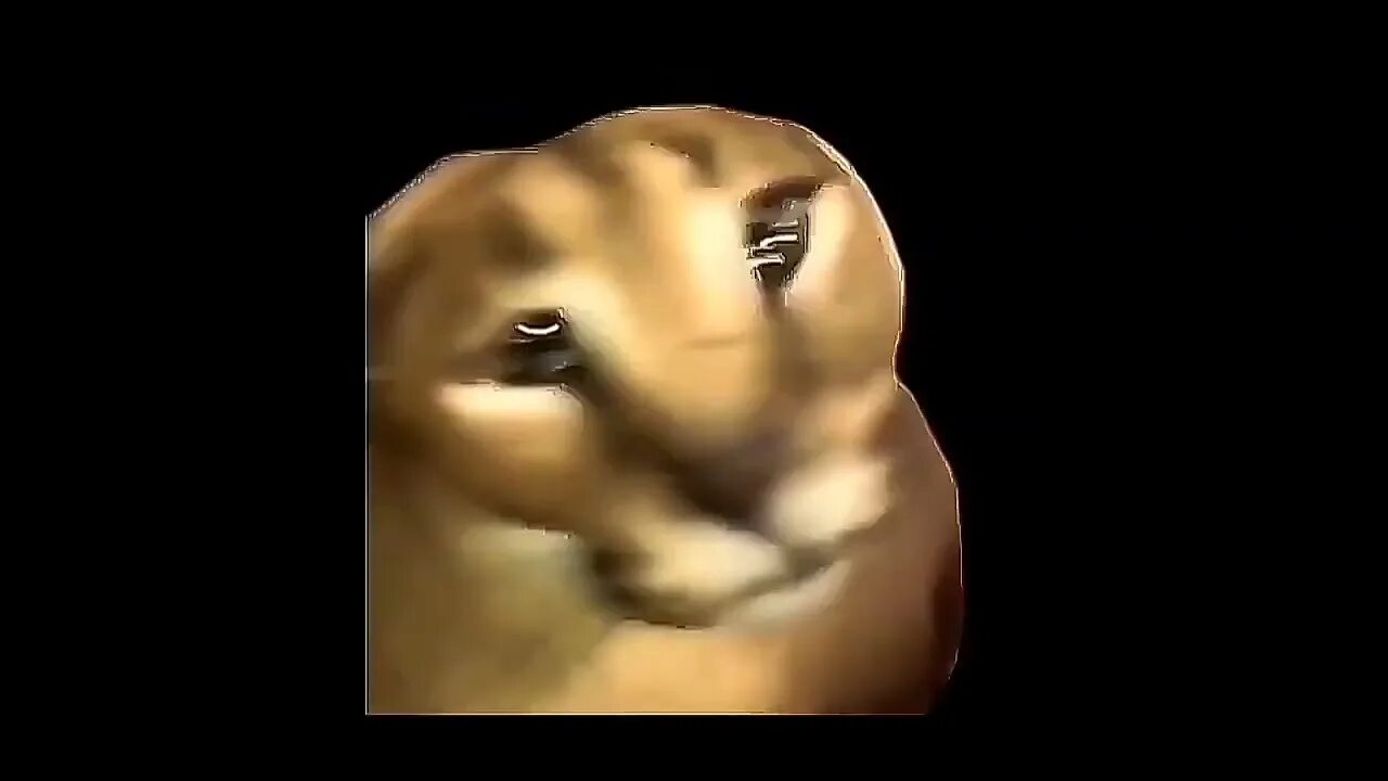 Уличная лошадь тревор хендерсон. Гифка крутящейся головы. Ночью головой крутит. Ночью головой крутит. Сиреноголовый крипипаста.