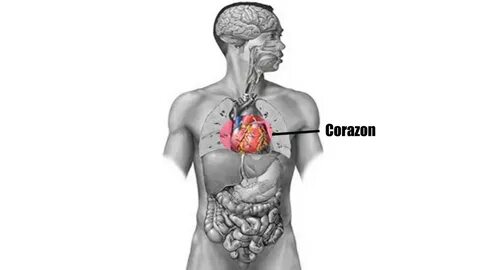 Челябинскідегі ескі жезөкшелер анальный секс