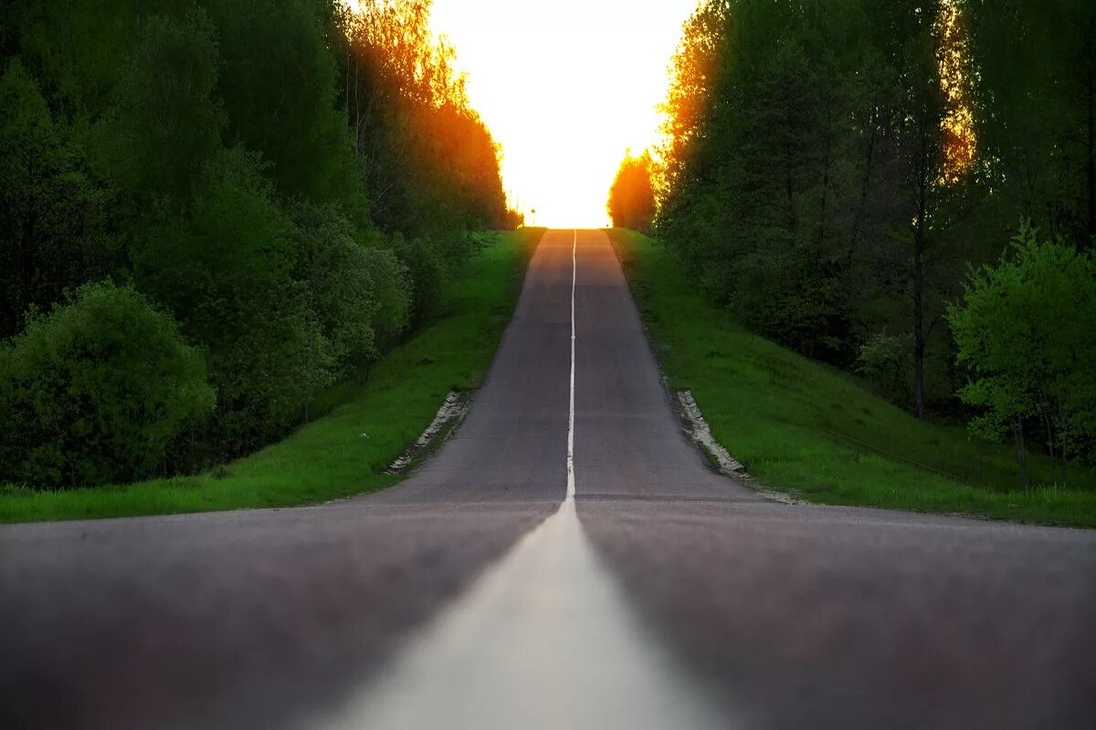 Счастья и светлой дороги. Красивые дороги. Светлая дорога. Дорога путь. Дорога в будущее.