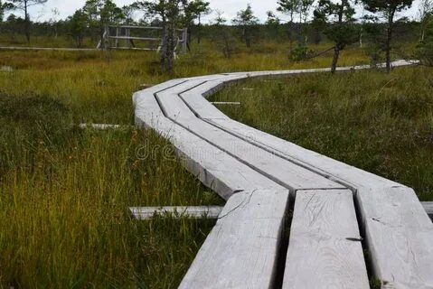 Настил через болото 4 буквы