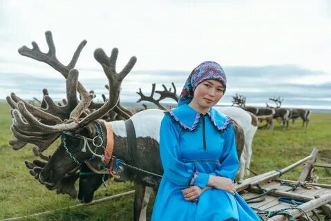 Встретить в тундре