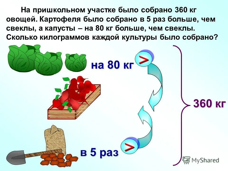 Сколько килограмм овощей привезли в магазин. На пришкольном участке было собрано 360 кг овощей картофеля. Сколько килограмм овощей было. В магазине было а килограмм овощей.. Сколько овощей собрано с трех участков?.