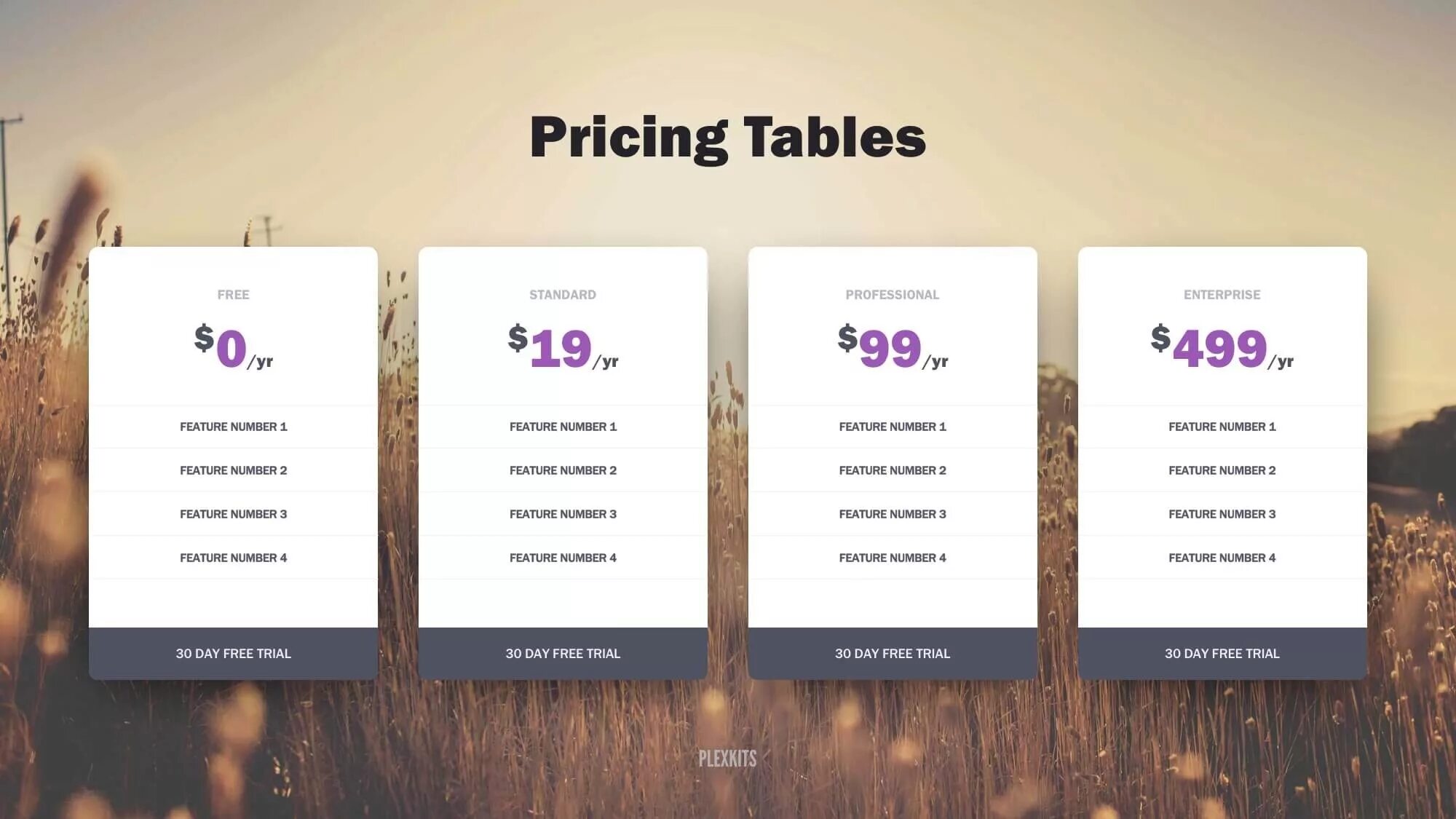 Pricing Table. Price Table. Product Table шаблоны. Pricing Template.