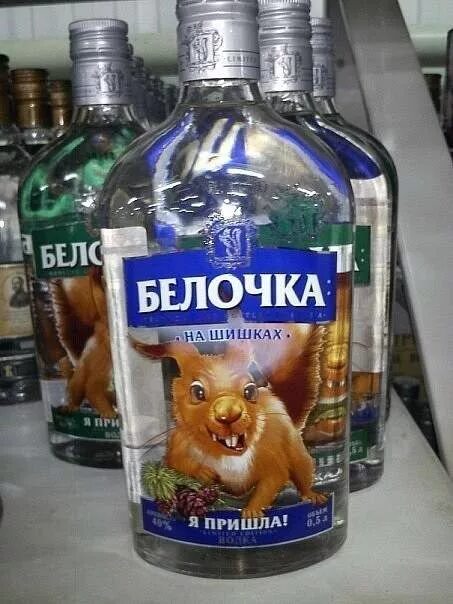 Когда приходит белочка от пьянки. Белочка алкогольная. белочка пьянка. белочка пришла. белочка с бодуна.