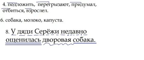 Сережею разбор