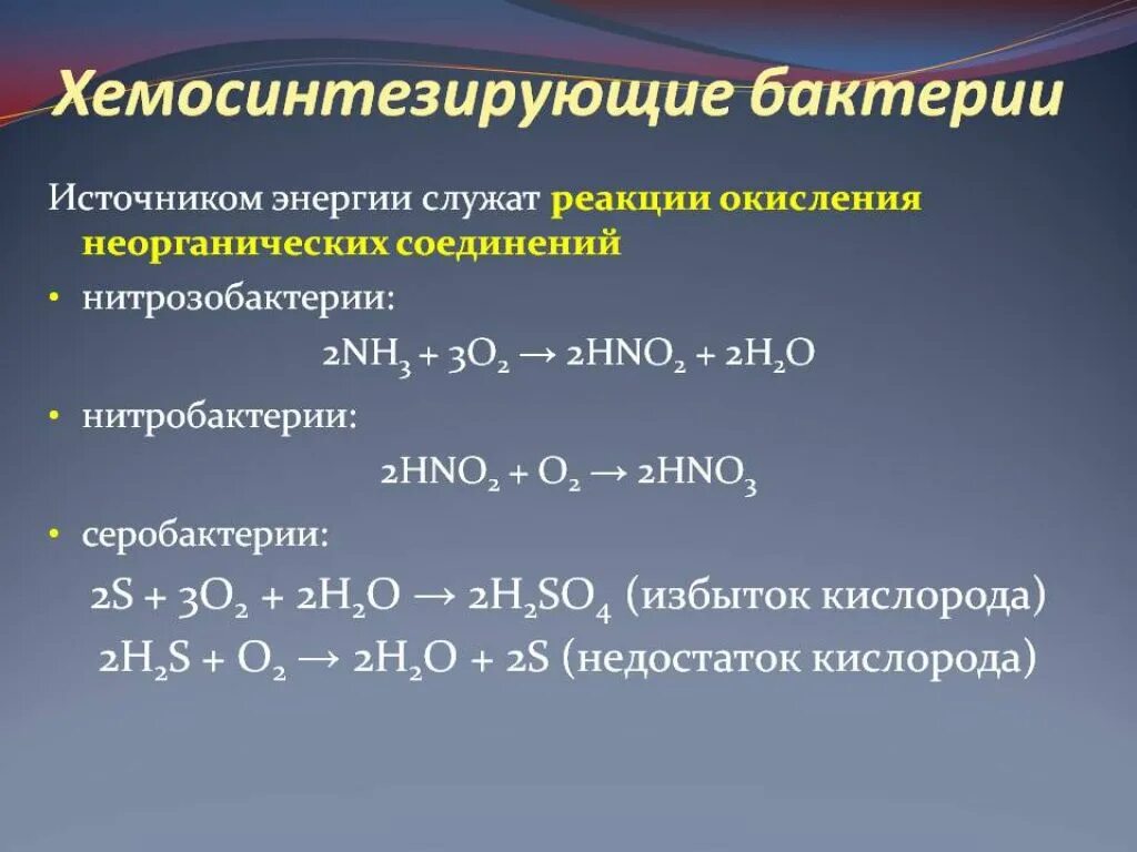 Хемосинтезирующие бактерии. Реакции окисления неорганических веществ. Реакции окисления неорганических соединений. Реакция окисления неорганика.