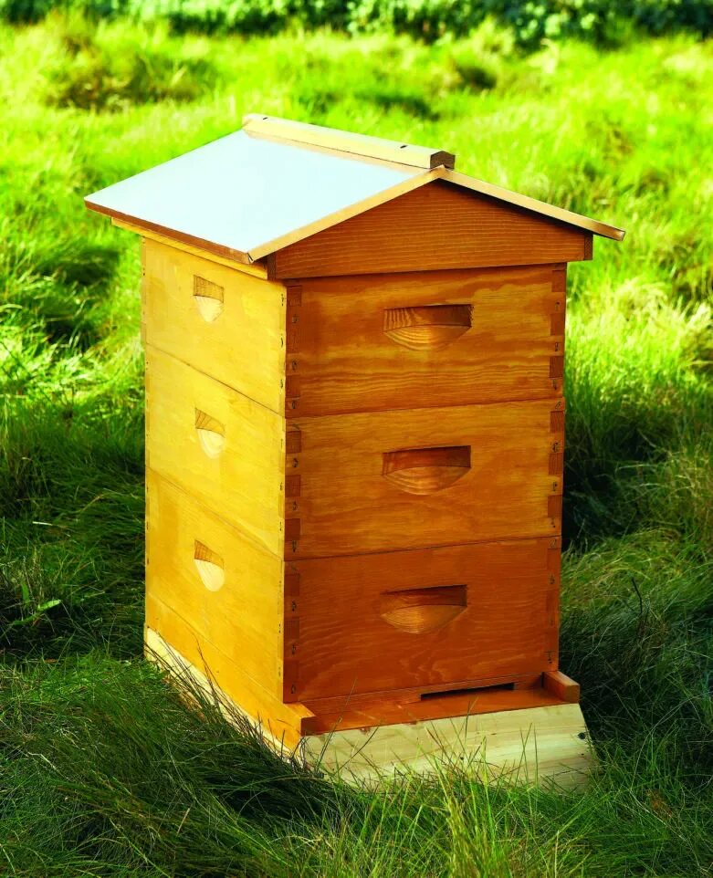 Улья ппу нижегородец. Улей дадан 10-ти рамочный. Рамочный улей. Нуклеус нижегородец. Улей андрияшева.