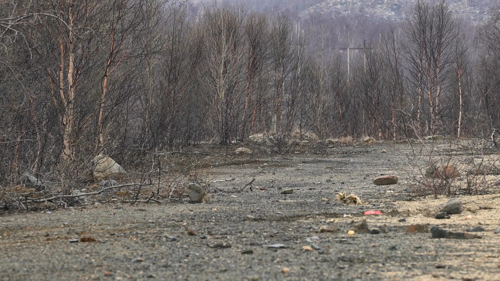 кислотные осадки пути решения. карабаш город экологического бедствия. кислотные дожди. кислотные осадки. кислотные дожди катастрофа.