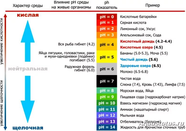 Кислотность азота. Шкала кислотности ph воды. ph таблица кислотности воды. рн кислотность шкала. ph шкала кислотности лакмусовая бумага.