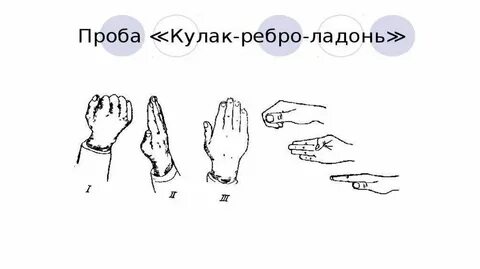 Ребро ладони