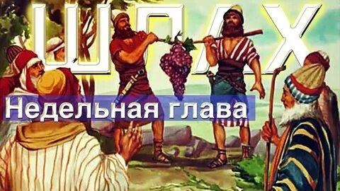 Недельная глава торы