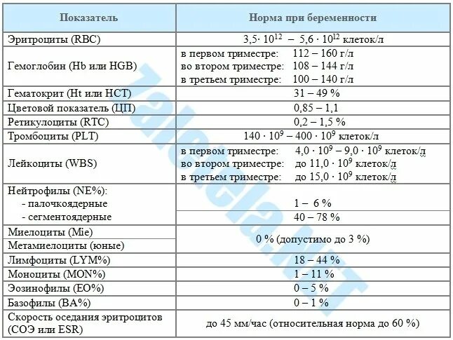 Что повышено в моче при беременности. Показатели общего анализа крови при беременности норма. Норма анализа крови при беременности 3. Общий анализ крови показатели нормы для беременных. Клиническая норма общего анализа крови у беременных.