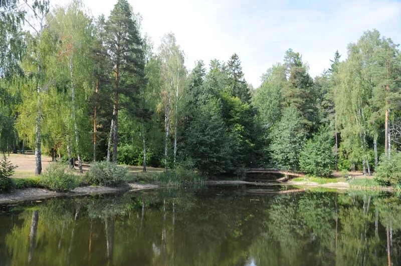 Зеленый город какая область. Зеленый городок Нижний Новгород. Санаторий зелёный город Нижегородская область. Лес зеленый город Нижний Новгород. Санаторий зелёный город Нижегородская область Кстово.