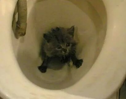Зачем приезжаешь