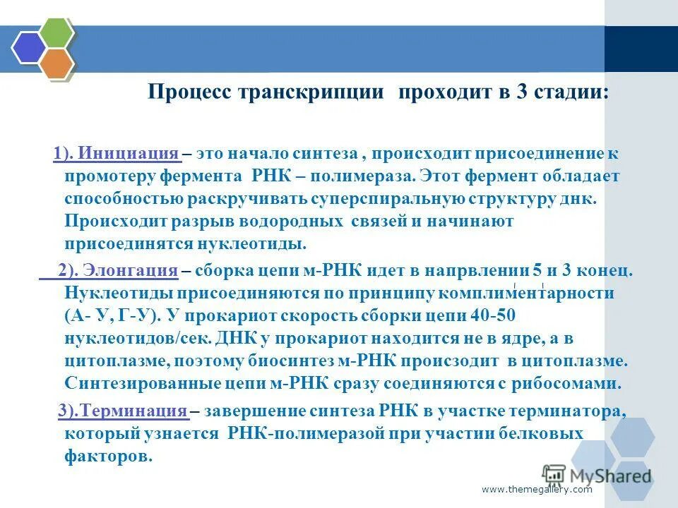 Процесс транскрипции этапы схема. Процесс транскрипции днк. Какие процессы происходят в транскрипции. Процесс транскрипции в биологии. Какие процессы происходят в транскрипции.