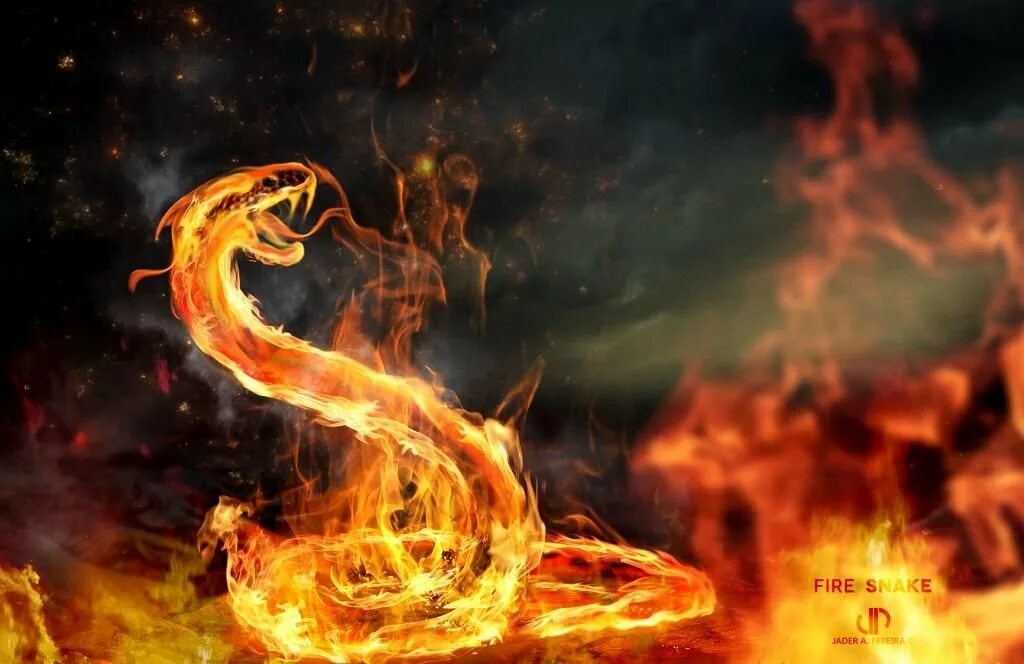 Flame Salamander (Огненная саламандра). Огненная саламандра фэнтези. Саламандра Огненная мифология. Огненная змея. Змея в огне