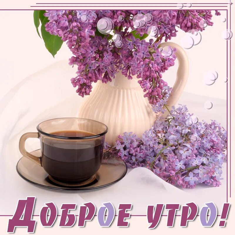 Доброе утро блестящие. Доброе утро блестящие