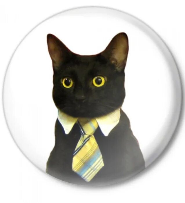 Кошка мс. Кот в галстуке. Кот в галстуке картинка. Кот в желтом галстуке. Черный кот с желтым галстуком.