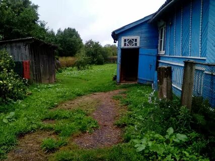 Новгородской обл солецком районе
