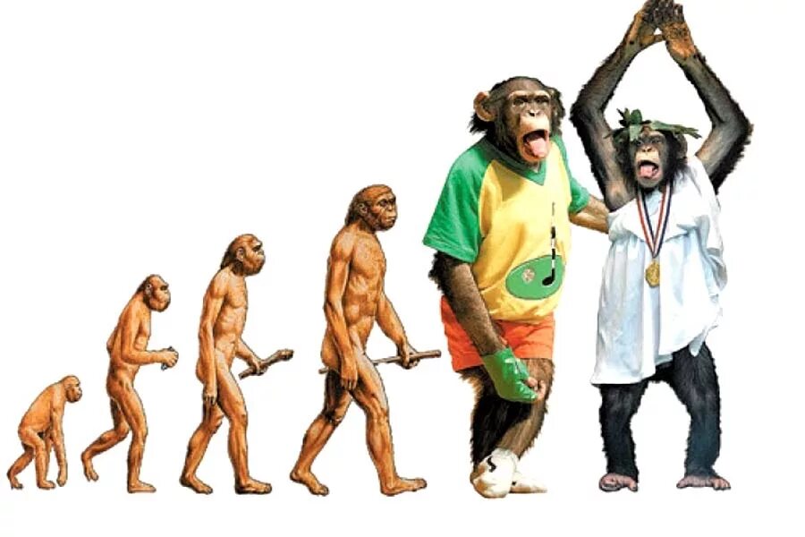 эволюция дарвина хомо сапиенс. Human evolution эволюция человека. эволюция дарвин хомо. человек разумный будущие. будущее эволюции человека.