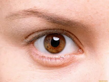 2 brown eyes