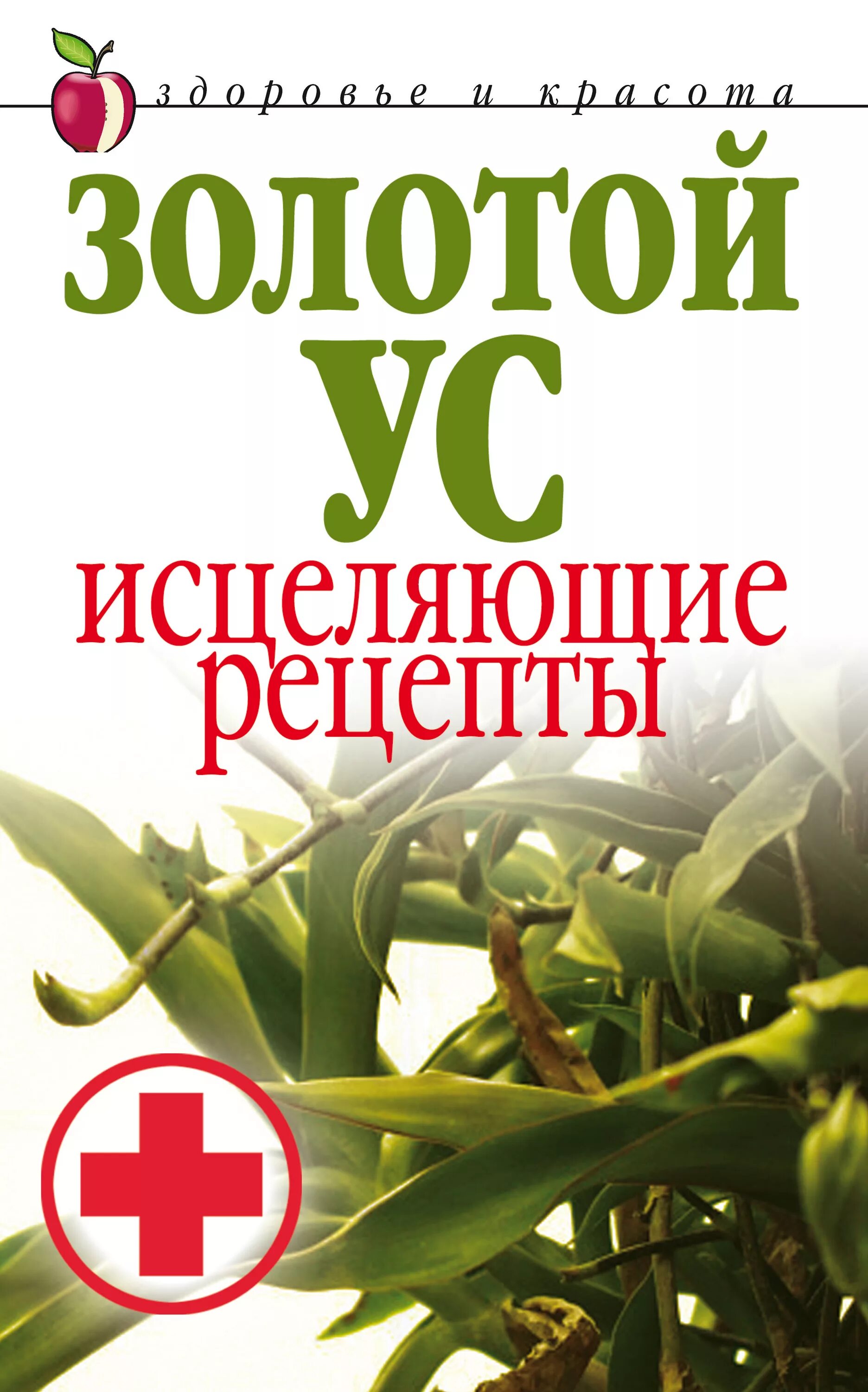 Рецепт ус. Золотой ус. золотой ус книга. рецепты золотого уса. растение золотой ус рецепты.