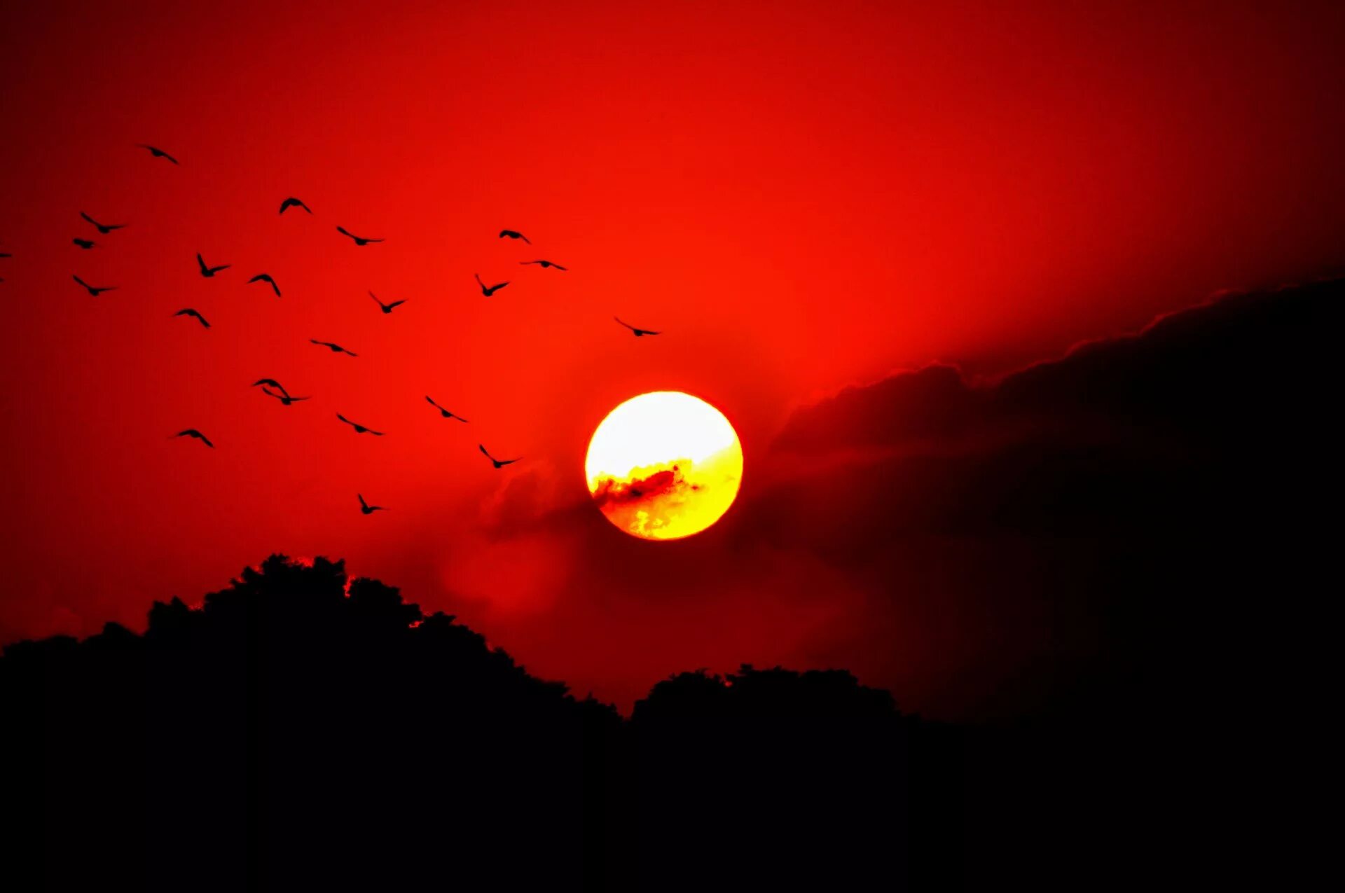 Красным стало небо солнце. Красное солнце. Красный закат. Красная Луна. Кровавое солнце.