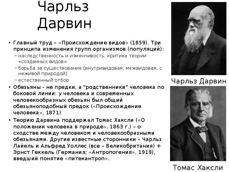 Гипотеза дарвина. Теория Дарвина. Теория Дарвина 1859. Теория Чарльза Дарвина о происхождении человека.