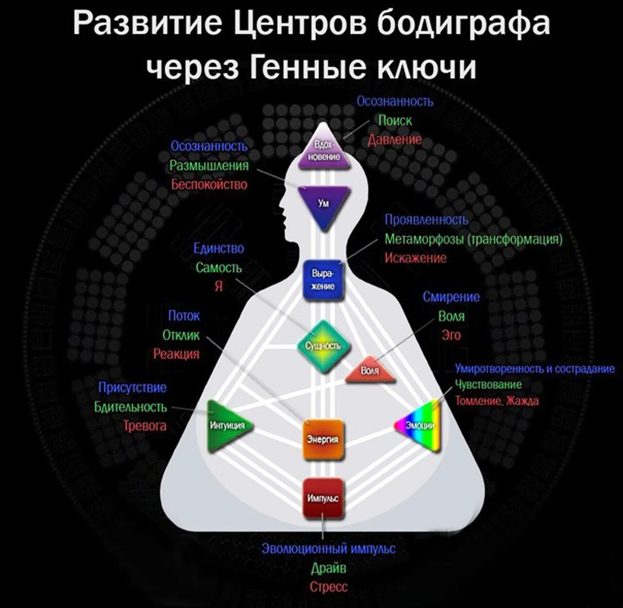 Генные ключи расшифровка. Дизайн человека центры бодиграфа. Центры в дизайне человека расшифровка. Центры в бодиграфе дизайн человека. Дизайн человека центры бодиграфа описание.