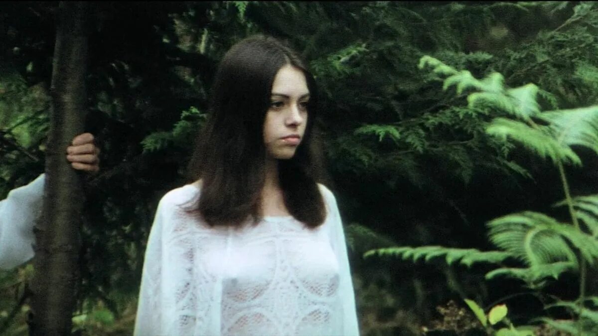 Вампирша 1973. Фильм женщина вампир 1973. Вампирша / la comtesse noire / 1973. Lina romay. Вампирша / la comtesse noire / 1973.