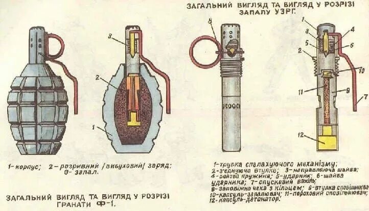 Схема гранаты ф1. Граната РГД 5 чертеж. Строение запала гранаты ф1. Ручная осколочная граната ф-1 состоит из.