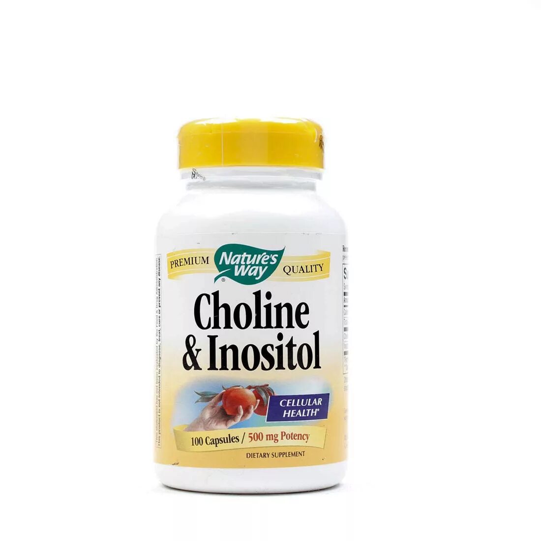 Nature's way, Холин и инозитол. Nature-s-way-Choline-Inositol-500-MG-100-Capsules. Инозитол 500мг. Витамины Now Холин инозитол.