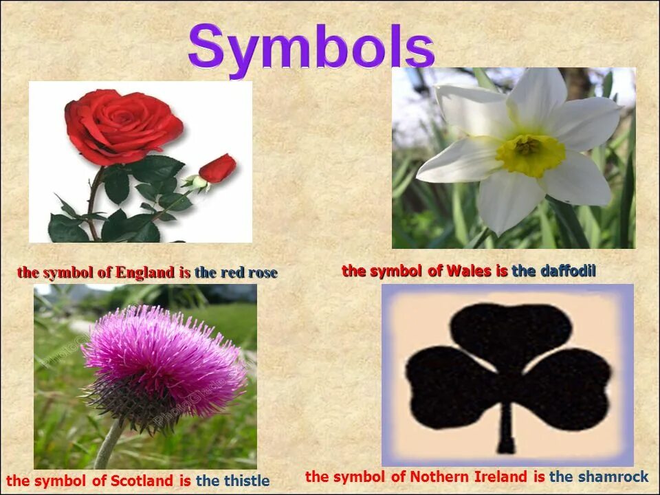 Northern ireland презентация. What is the national symbol of the usa?. Northern ireland symbols. The symbol. The symbol.