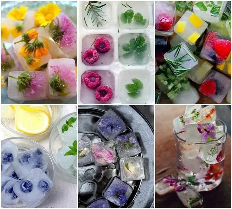 Можно ли заморозить цветы. Кубики льда с цветами. Красивый лед для коктейлей. Цветы в формочках для льда. Травяные кубики льда для лица.