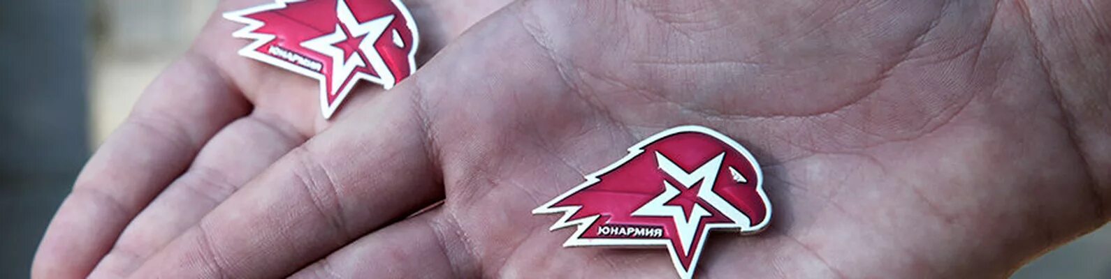 Гитлерюгенд и юнармия. Гитлер югент и юнармия. юнармия путинюгенд. путлерюгенд юнармия. эмблема гитлерюгенд и юнармия.