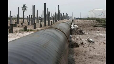 Сливовый облегченный закупорив красивее нефтепровод