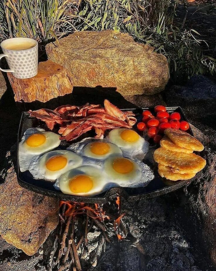 True camp. Завтрак бушкрафт. Готовка на природе. Блюда для кемпинга. Шакшука на костре.