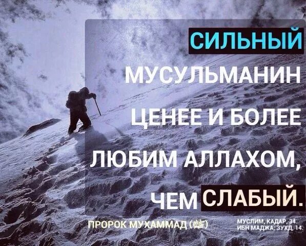 Слабый побеждает сильного. Сильный лучше слабого. Сильный и слабый человек. Поддержка цитаты высказывания. Высказывание про силу.