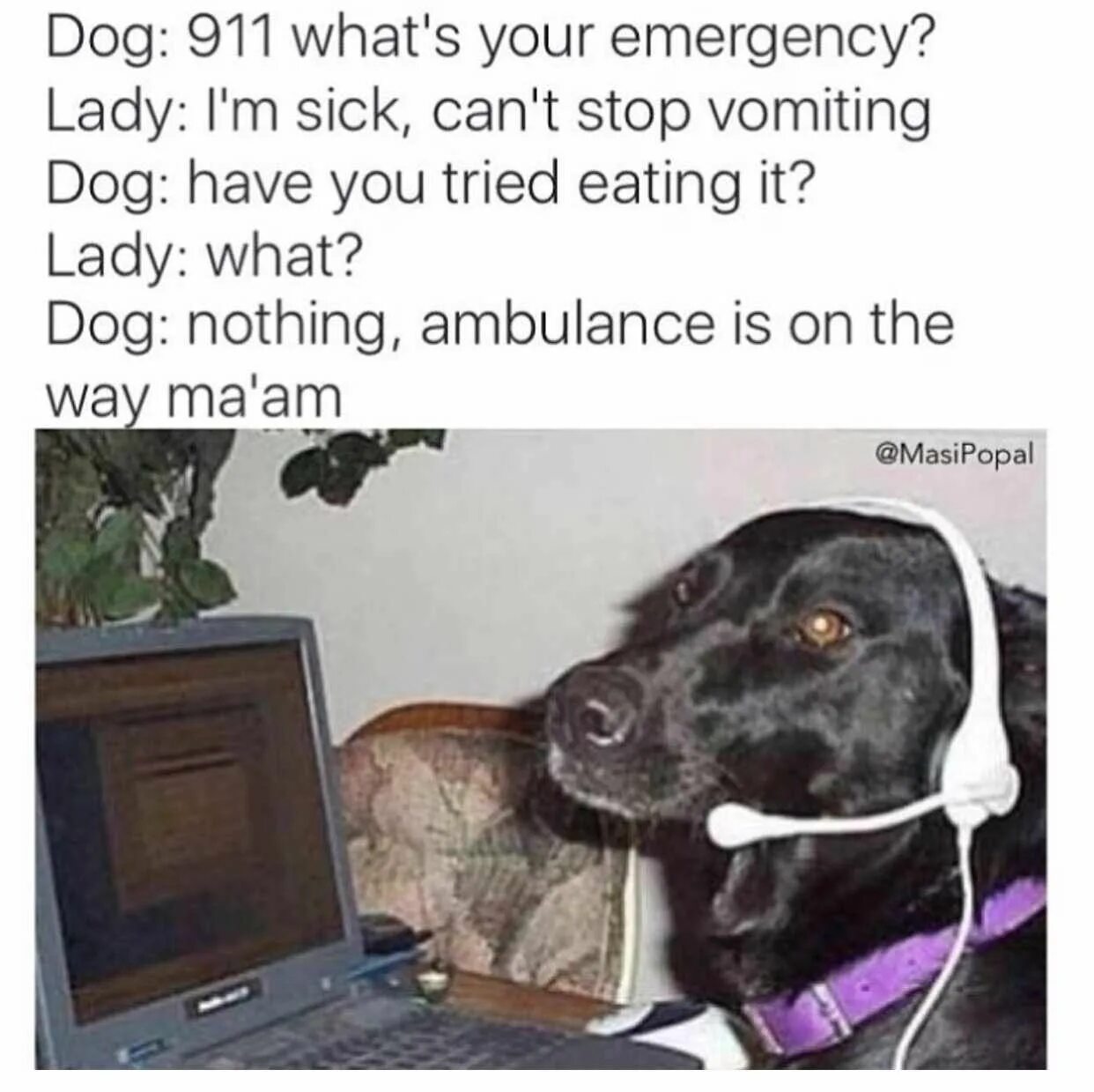 Nothing dog. Мем собака 911. 911 what&#039;s your emergency. смс i can read the dog.