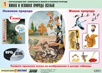 Основные изменения в природе осенью