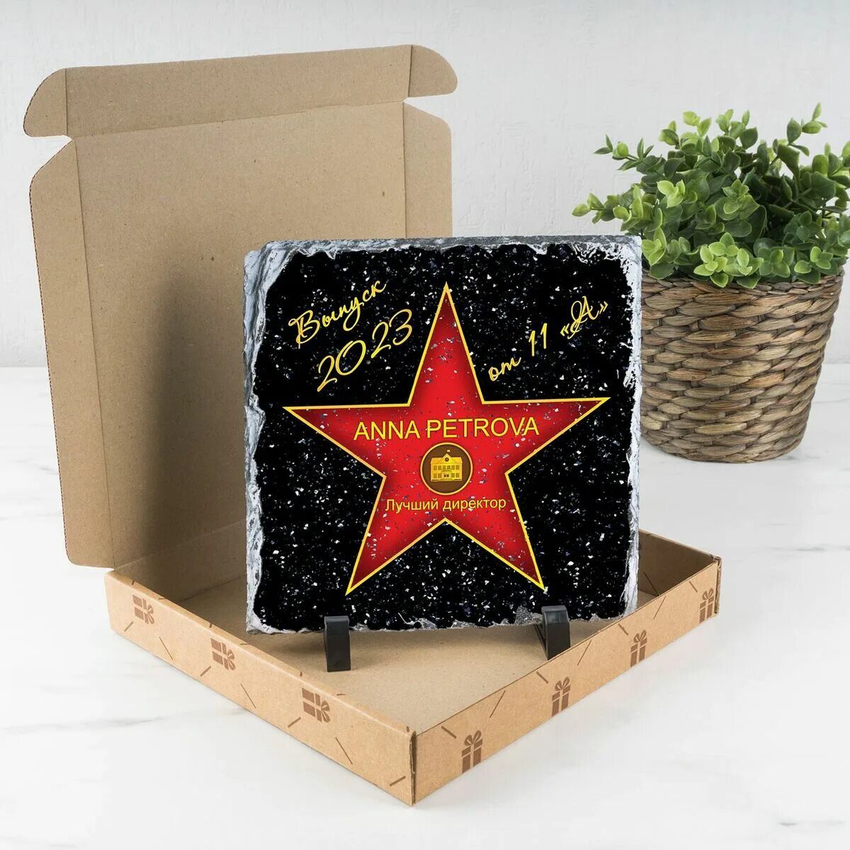 Голливудская звезда в подарок. Фотокамень голливудская звезда. Звезда голливуда подарок. Звезда на елку ссср. Именная голливудская звезда.