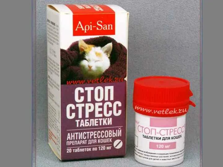 Какое успокоительное дать коту