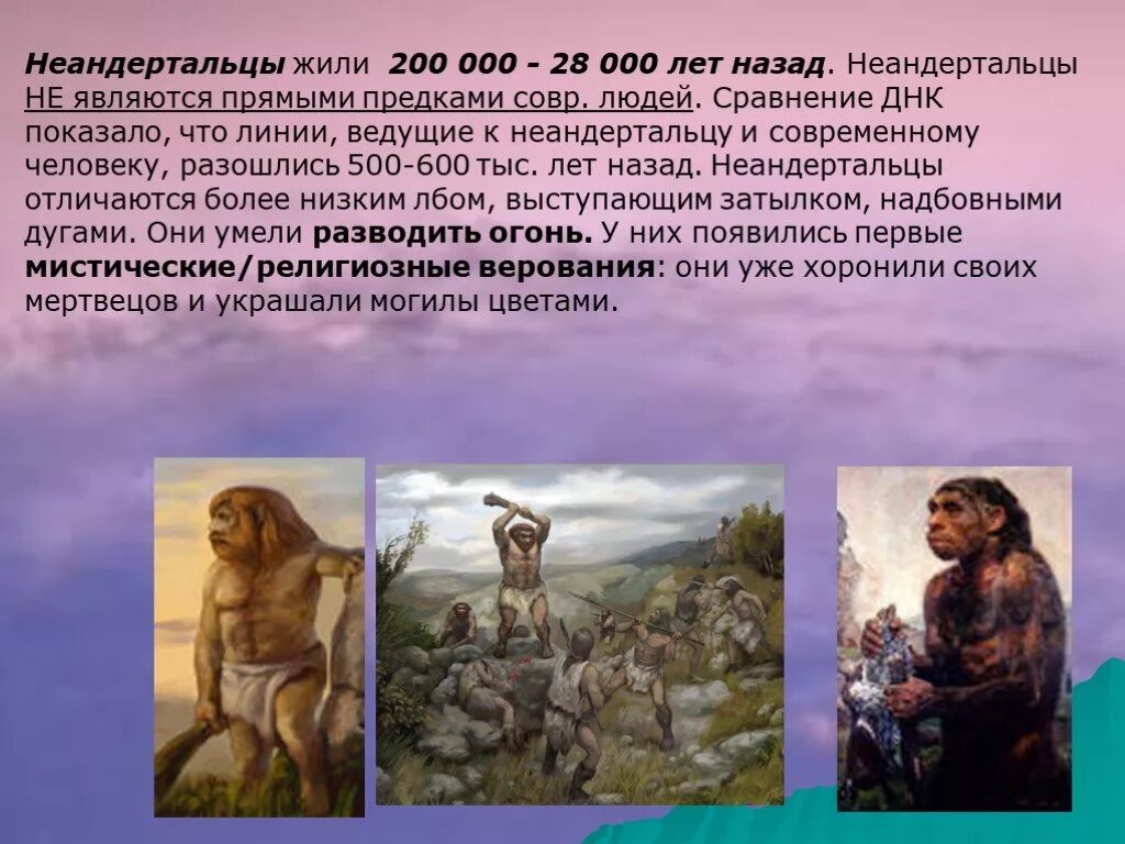 Предшественники человека неандерталец. Неандерталец предки человека. Неандертальцы жили. Происхождение человека неандерталец.