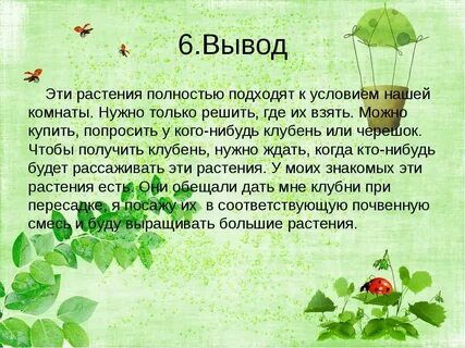 6 вывод
