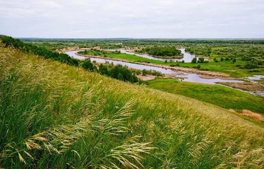 Воронинский заповедник Тамбов. Инжавино заповедник Воронинский. Заповедник в Тамбовской обл. Воронинский. Воронинский заповедник Барская гора.