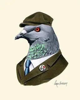 Голубь снайпер